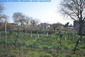 DSC 5345 - 