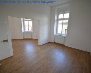 Eine wunderschoene Altbauwohnung in zentraler Stadtlage. - Neustadt Kernstadt