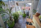 Wintergarten EG - 