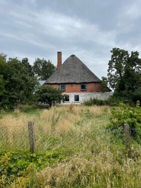Blick über das großzügige Grundstück zum Wohnhaus - 