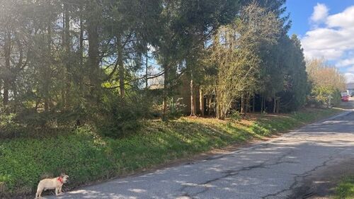 Strassenansicht - Grundstück zum Kaufen in Kürten