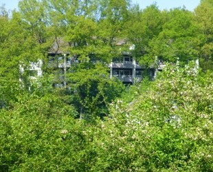 2 Zimmer, Kochnische, Dusch-Bad, Loggia.......Junggesellen-Wohnung - Lüdenscheid
