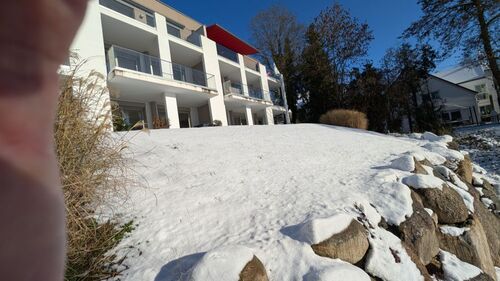 PXL_20260103_110219280 - 