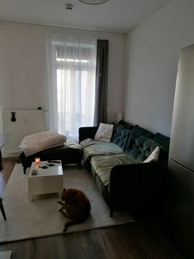 IMG_20260107_101549 - 