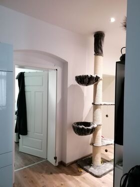 IMG_20260107_101240 - 