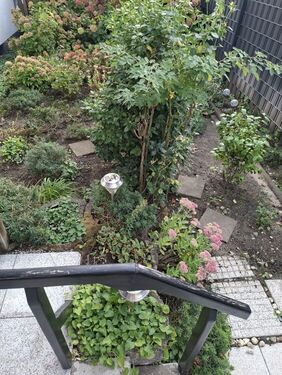 Garten - 