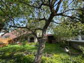 Obstbaumbestand - 