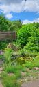 IMG-20250713-WA0081 - 
