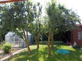 Garten mit Gewächshaus - 