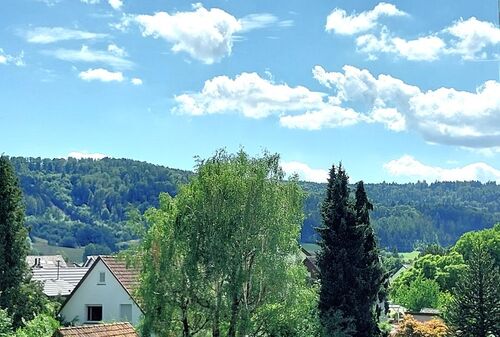 Balkon Ausblick - 4.5 Zimmer Dachgeschoßwohnung zur Miete in Lorch