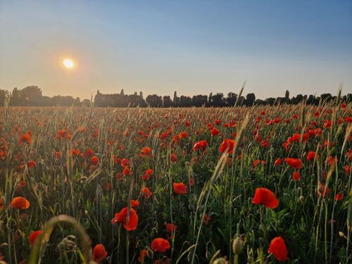 Natural protected Resort - 