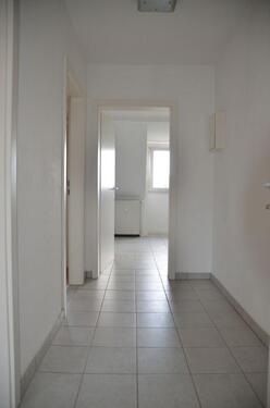 DSC_9456 - 