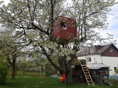 Baumhaus 1 - 