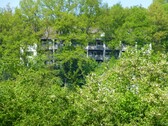 P1010439 - 