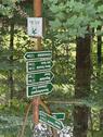 IMG_4691 - 