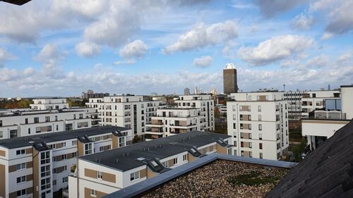 Blick v. Loggia - 