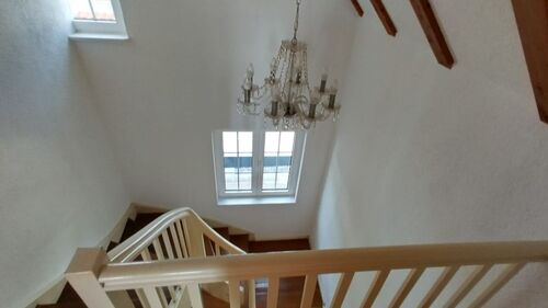 PHOTO-2023-07-31-08-49-45-3 - 