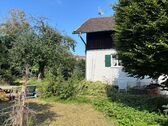 IMG_4808 - 