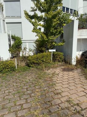 Stellplatz Frei - 