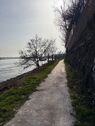 Rheinufer - 