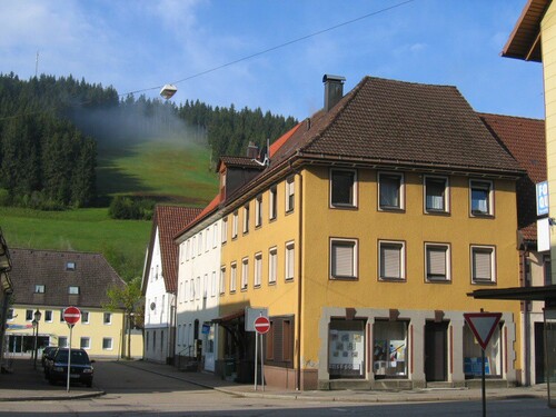 2 Zi.-Wohnung in Vöhrenbach - 2 Zi.-Wohnung, Vöhrenbach - 260,00&nbsp;EUR Kaltmiete, ca.&nbsp; 30,00&nbsp;m&sup2;&nbsp;Wohnfl&auml;che
