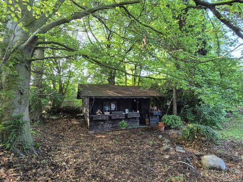 PHOTO-2026-03-19-19-22-15 2 - 