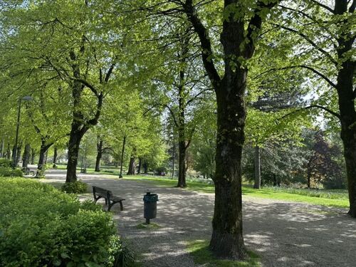 Stadtgarten II - Provisionsfrei* Top Geschäftshaus direkt am Stadtgarten - Essen Südviertel
