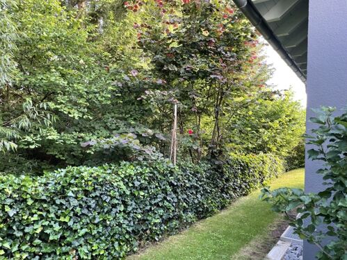 Garten - 