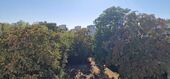 Park - 