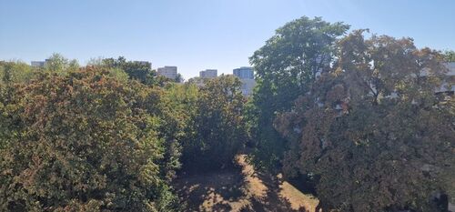 Park - 