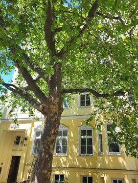 Aussenansicht - 