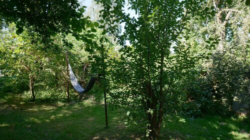 Garten-Mitte - 