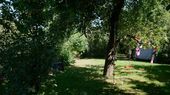 GartenMitte - 