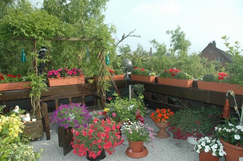 bunte Dachterrasse - 