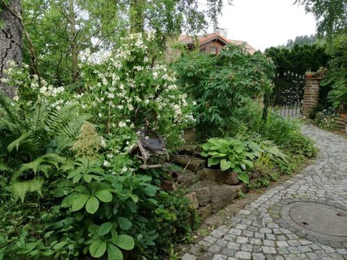 Eingang zur Haustüre - 10 Zimmer Einfamilienhaus in Waldachtal - Salzstetten