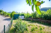 020 Garten - 