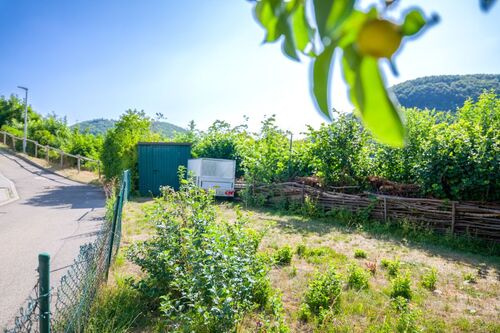 020 Garten - 
