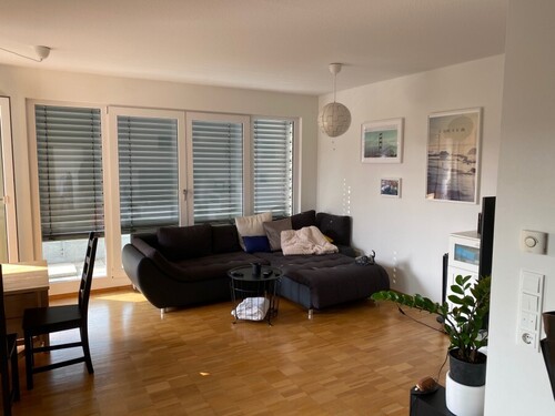 image5 - 
