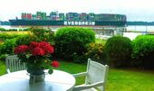 Blick aus dem Wohnzimmer - 