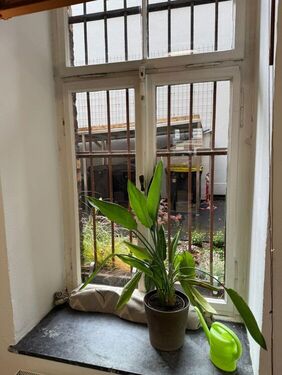 8ebcb141-809d-443e-9071-004566b7d689 - 