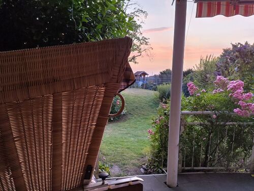 Blick in den Garten - 