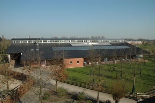 Reithalle komplett von Süden her - 