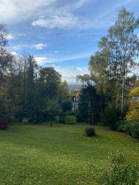 Aussicht in den Garten - 