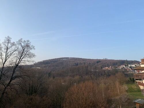 IMG_9524 - Schönes renoviertes 1-Zimmer Apartment im Ortskern von Lindenfels