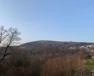 Schönes renoviertes 1-Zimmer Apartment im Ortskern von Lindenfels