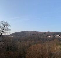 Schönes renoviertes 1-Zimmer Apartment im Ortskern von Lindenfels