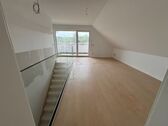 DG Atelier - 