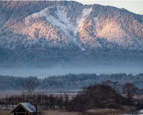 Muster - Provisionsfrei* Wohnen & Arbeiten München - Garmisch-Partenkirchen