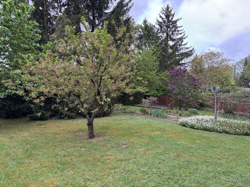 110b - 5 Zimmer Einfamilienhaus in Berlin