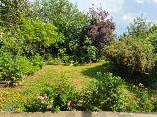 Garten - 6.5 Zimmer Einfamilienhaus in Nauheim